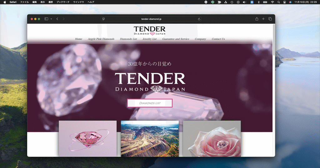 bricksの制作事例