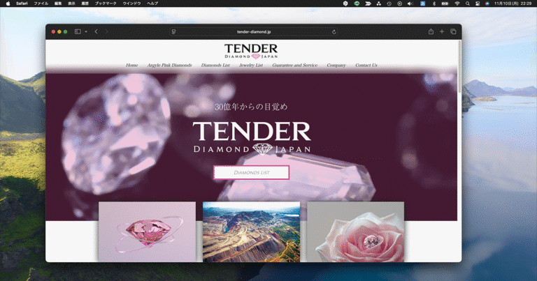 bricksの制作事例